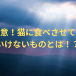 注意！猫に食べさせてはいけないものとは！？